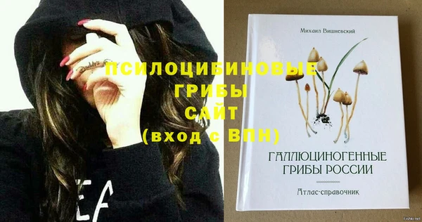 MDMA Premium VHQ Армянск